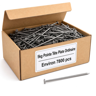 Pointe Tête Plate Ordinaire 1,8 × 30 mm - Boite de 5 kg (~7 800 Clous)