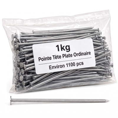 Pointe Tête Plate Ordinaire 2,0 × 35 mm - Boîte de 1 kg (~1 100 Clous