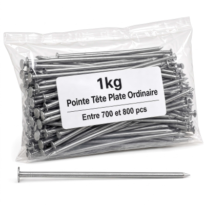 Pointe Tête Plate Ordinaire 2,2 mm - Boîte de 1 kg (~700 à 800 Clous)