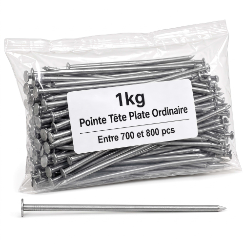 Pointe Tête Plate Ordinaire 2,2 mm - Boîte de 1 kg (~700 à 800 Clous)