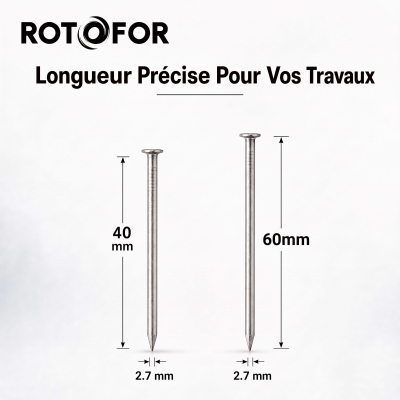 Pointe Tête Plate Ordinaire 2,7 mm - Boite de 5 kg (~1 700 à 2 500 Clous) 2