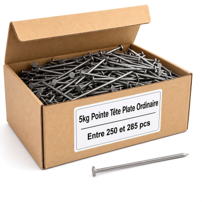 Pointes/clous tête plate ordinaire - diamètre 5 mm - 5kg
