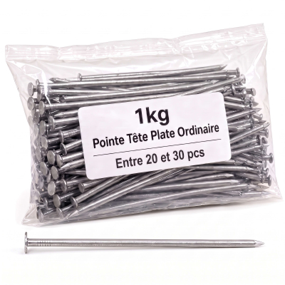 Pointe Tête Plate Ordinaire 6,5 mm - Boîte de 1 kg (~20 à 30 Clous)