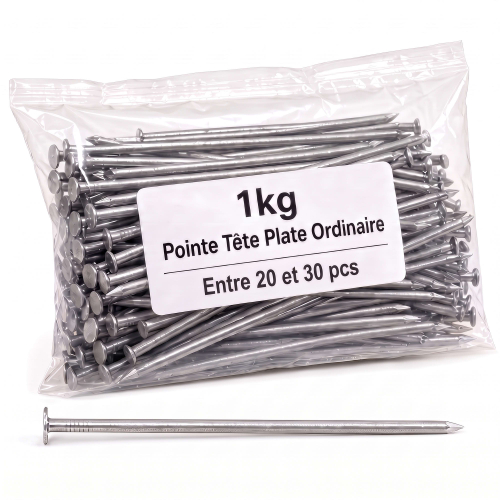 Pointe Tête Plate Ordinaire 6,5 mm - Boîte de 1 kg (~20 à 30 Clous)