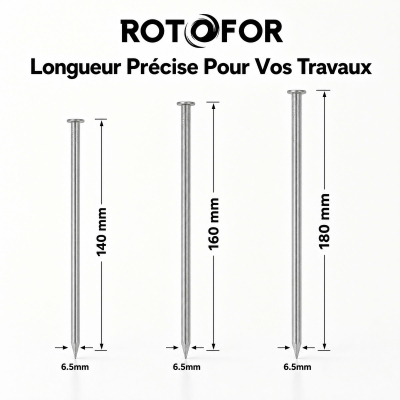 Pointe Tête Plate Ordinaire 6,5 mm - Boîte de 1 kg (~20 à 30 Clous) 2