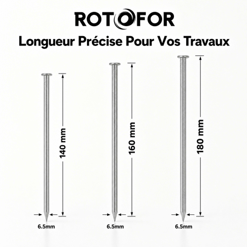 Pointe Tête Plate Ordinaire 6,5 mm - Boîte de 1 kg (~20 à 30 Clous)