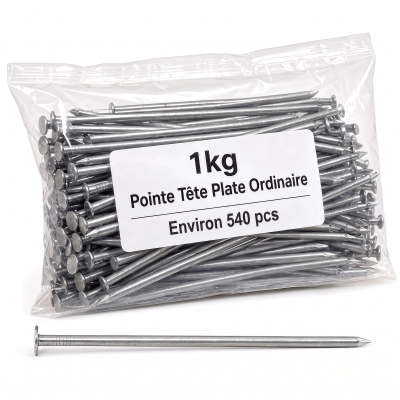 Pointe/Clou Tête Plate Ordinaire 2,4 × 50 mm - Boîte de 1 kg (~540 Clous)