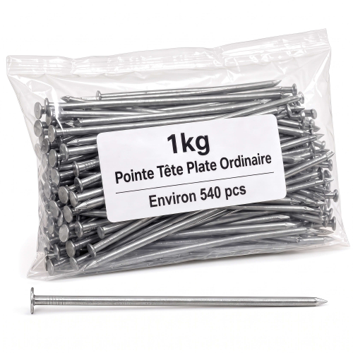 Pointe/Clou Tête Plate Ordinaire 2,4 × 50 mm - Boîte de 1 kg (~540 Clous)