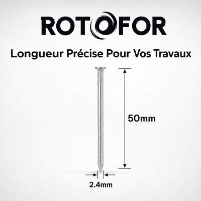 Pointe/Clou Tête Plate Ordinaire 2,4 × 50 mm - Boîte de 1 kg (~540 Clous)