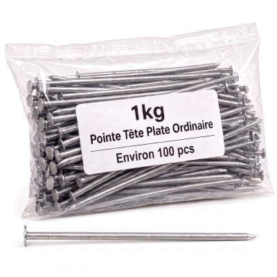 Pointe/Clou Tête Plate Ordinaire 4,0 × 90 mm - Boîte de 1 kg (~100 Clous)