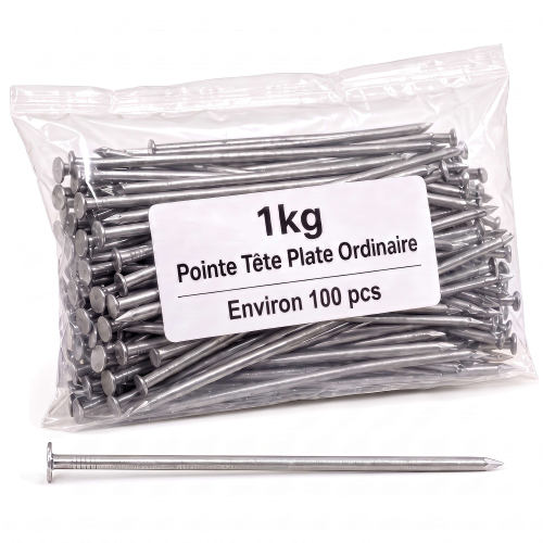 Pointe/Clou Tête Plate Ordinaire 4,0 × 90 mm - Boîte de 1 kg (~100 Clous)