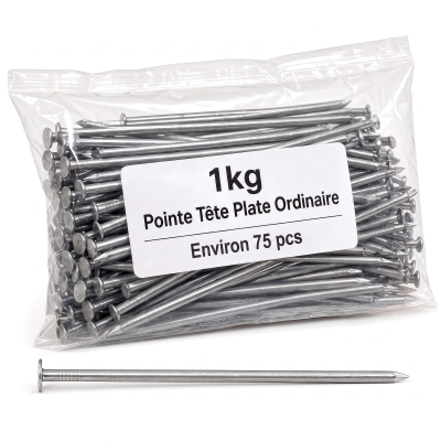 Pointe/Clou Tête Plate Ordinaire 4,5 × 100 mm - Boîte de 1 kg (~76 Clous)