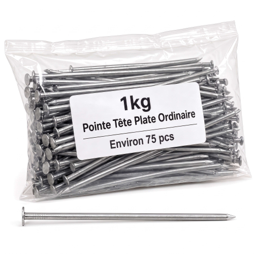 Pointe/Clou Tête Plate Ordinaire 4,5 × 100 mm - Boîte de 1 kg (~76 Clous)