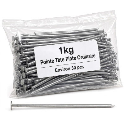 Pointe/Clou Tête Plate Ordinaire 6,0 × 130 mm - Boîte de 1 kg (~30 Clous)
