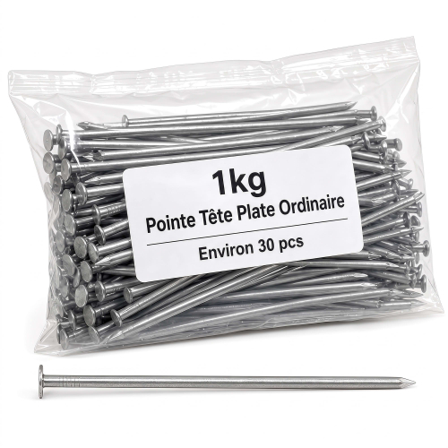 Pointe/Clou Tête Plate Ordinaire 6,0 × 130 mm - Boîte de 1 kg (~30 Clous)