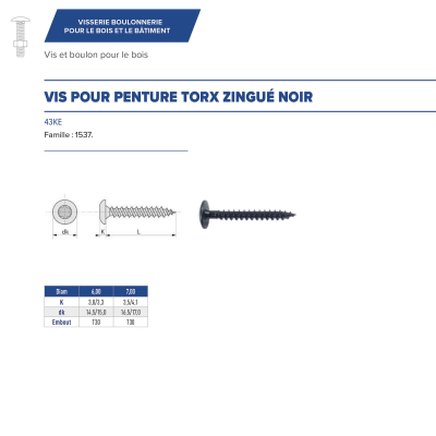 Vis bois penture Torx 7 x 40 mm Zinguée noire - Boite de 100 pcs 2