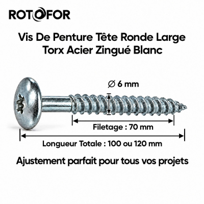 100 Vis Penture Torx acier zingués blanc - Diamètre 6 mm 2