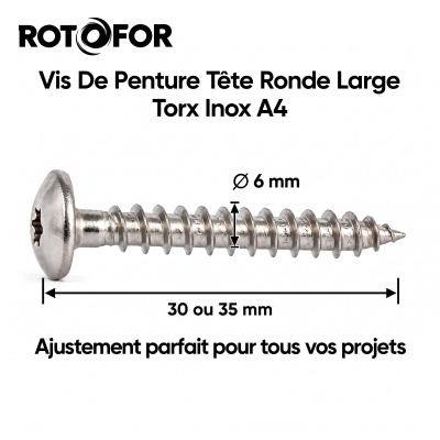 100 Vis Penture Torx Inox A4 - diamètre 6 mm 2