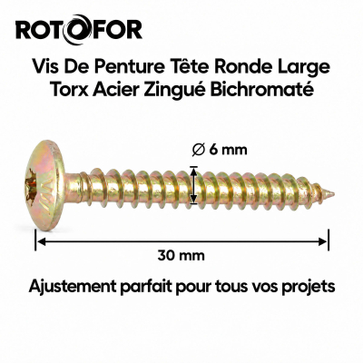 80 Vis Penture Torx T30 Acier Zingué Bichromaté 6.0 x 30 mm 2