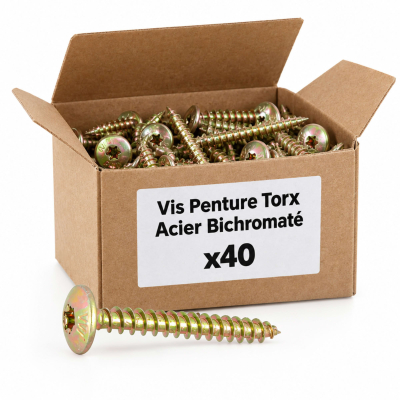 40 Vis Penture Torx Acier Bichromaté diamètre 6,0 mm - longueur 50mm