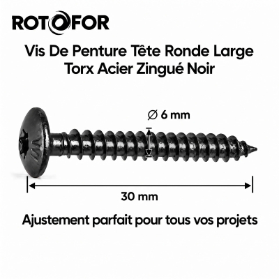 50 vis penture torx acier zingués noir - diamètre 6 mm 2