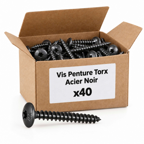 40 Vis Penture Torx acier zingués Noir - diamètre 6 mm
