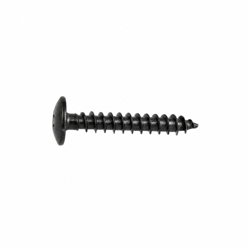 40 Vis Penture Torx acier zingués Noir - diamètre 6 mm