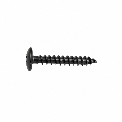 40 Vis Penture Torx acier zingués Noir - diamètre 6 mm