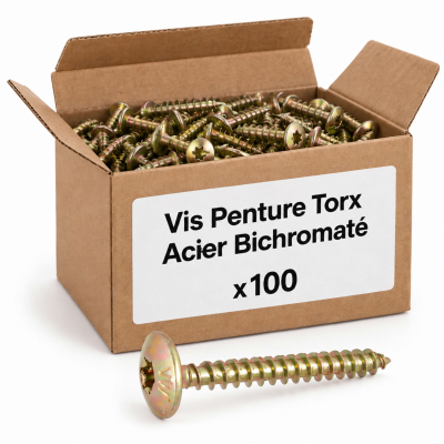 100 Vis Penture Torx acier bichromaté - Diamètre 6 mm