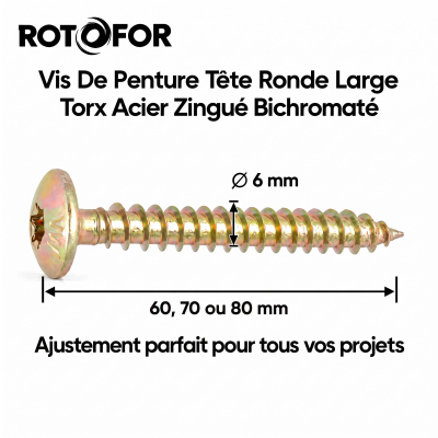100 Vis Penture Torx acier bichromaté - Diamètre 6 mm 2