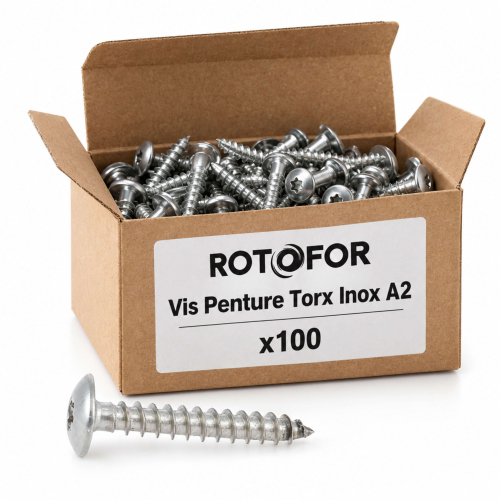 100 Vis Penture Torx Inox A2 - Diamètre 6 mm
