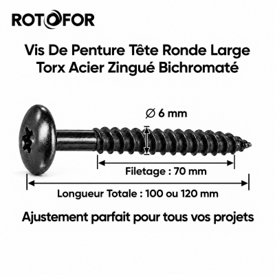 100 Vis Penture Torx acier zingués Noir - Diamètre 6 mm - Filetage partiel