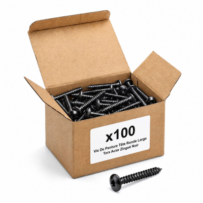 100 Vis Penture Torx acier zingués Noir - Diamètre 6 mm
