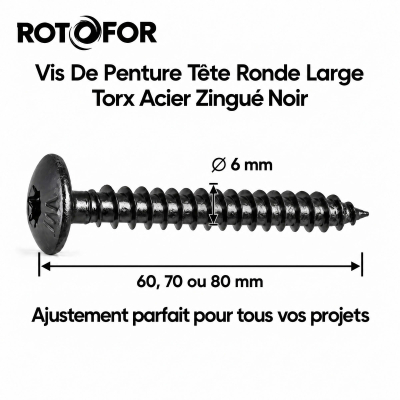 100 Vis Penture Torx acier zingués Noir - Diamètre 6 mm 2