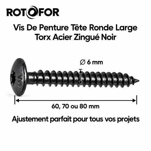 100 Vis Penture Torx acier zingués Noir - Diamètre 6 mm