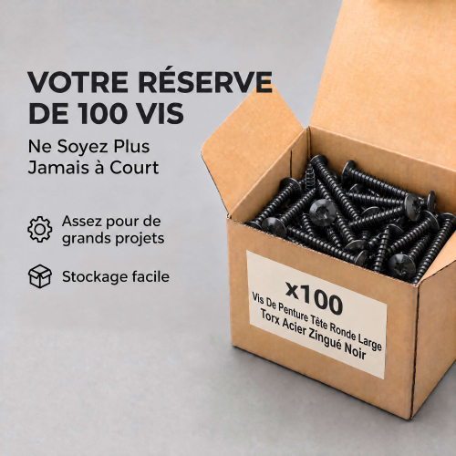 100 Vis Penture Torx acier zingués Noir - Diamètre 6 mm