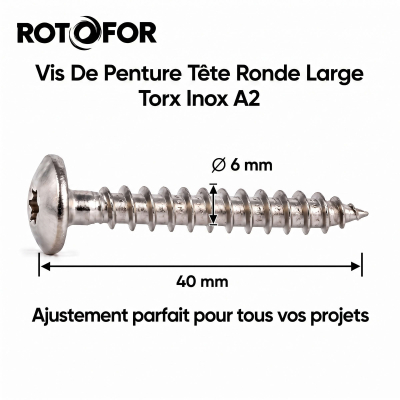 50 Vis Penture Torx Inox A2 - diamètre de 6 mm 2