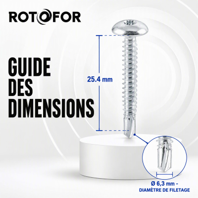 50 Vis Penture Autoperceuse acier zingués blanc 6.3 X 25.4 2