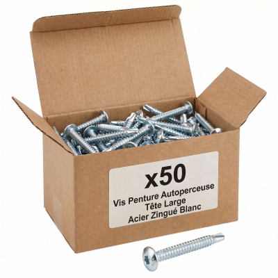50 Vis Penture Autoperceuse acier zingués blanc