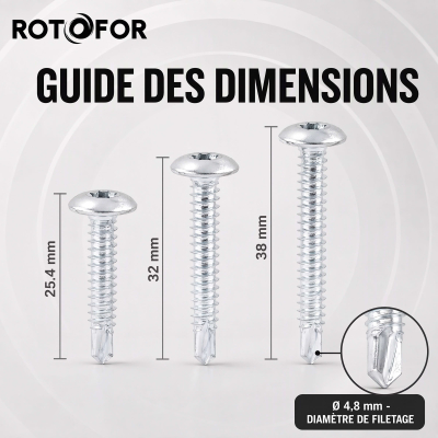 50 Vis Penture Autoperceuse acier zingués blanc 2