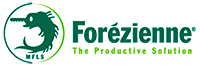 Fer de raboteuse / dégauchisseuse Forézienne